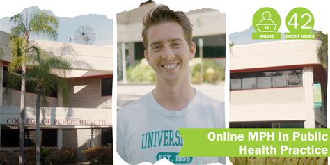 usf mph online|usf mph tuition.